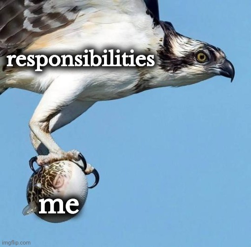 Suddenly life catches your unruly arse | responsibilities; me | image tagged in osprey caught pufferfish | made w/ Imgflip meme maker