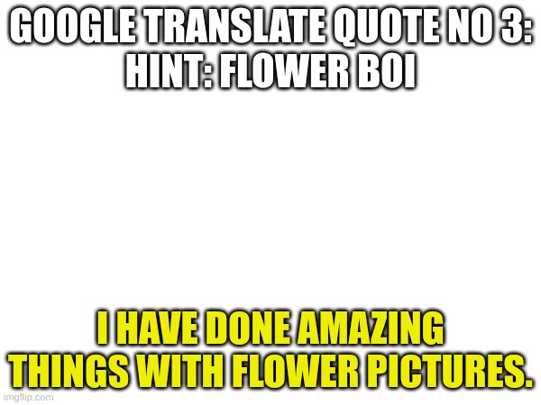 oh no flowei | GOOGLE TRANSLATE QUOTE NO 3:
HINT: FLOWER BOI; I HAVE DONE AMAZING THINGS WITH FLOWER PICTURES. | image tagged in undertale | made w/ Imgflip meme maker