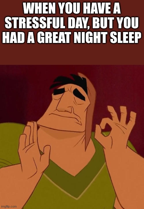 truly the best | WHEN YOU HAVE A STRESSFUL DAY, BUT YOU HAD A GREAT NIGHT SLEEP | image tagged in when x just right,fun,mememade,funny,meme,relatable | made w/ Imgflip meme maker
