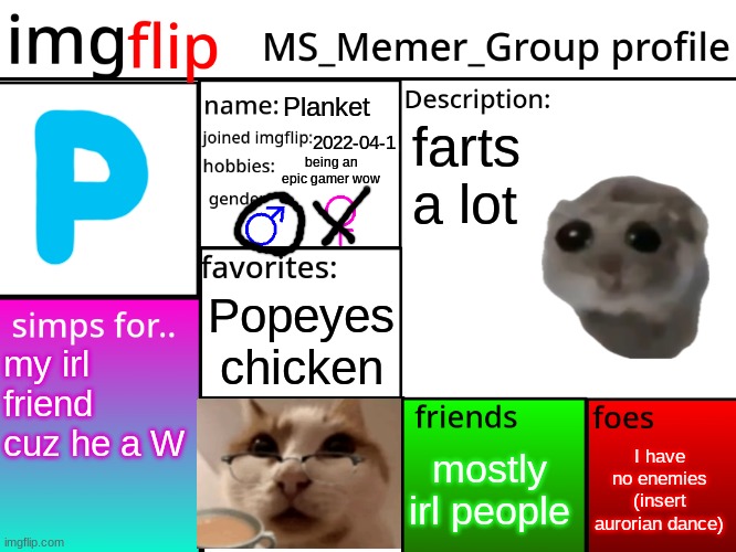 wazzup | Planket; farts a lot; 2022-04-1; being an epic gamer wow; Popeyes chicken; my irl friend cuz he a W; I have no enemies (insert aurorian dance); mostly irl people | image tagged in msmg profile | made w/ Imgflip meme maker