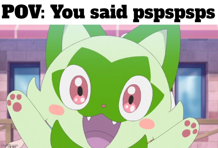 Yay! :) | POV: You said pspspsps | image tagged in memes,funny,cats,pov | made w/ Imgflip meme maker