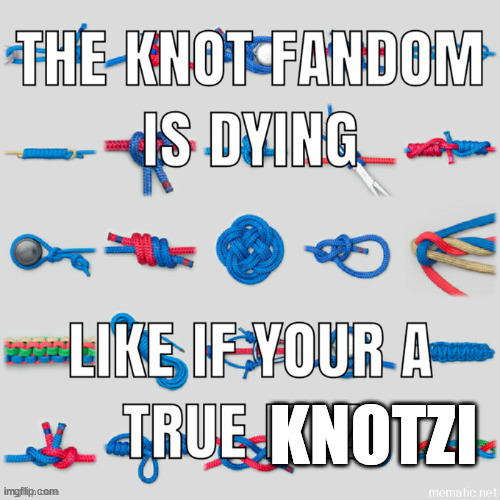 KNOTZI | image tagged in msmg | made w/ Imgflip meme maker