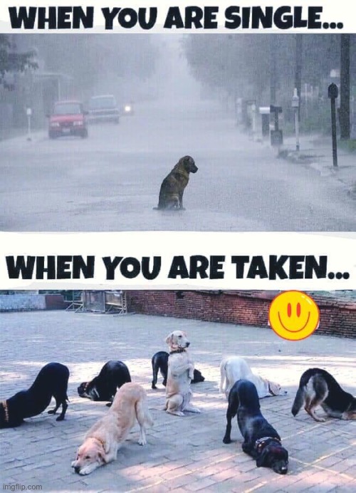 ._. | made w/ Imgflip meme maker