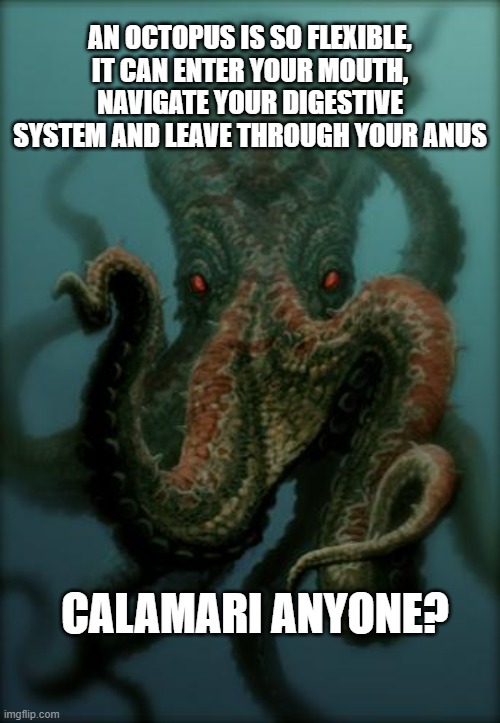 scary but true | AN OCTOPUS IS SO FLEXIBLE, IT CAN ENTER YOUR MOUTH, NAVIGATE YOUR DIGESTIVE SYSTEM AND LEAVE THROUGH YOUR ANUS; CALAMARI ANYONE? | image tagged in octopus | made w/ Imgflip meme maker