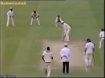 image tagged in gifs | made w/ Imgflip video-to-gif maker