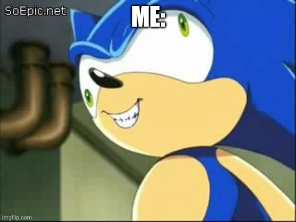 Derp sonic | ME: | image tagged in derp sonic | made w/ Imgflip meme maker