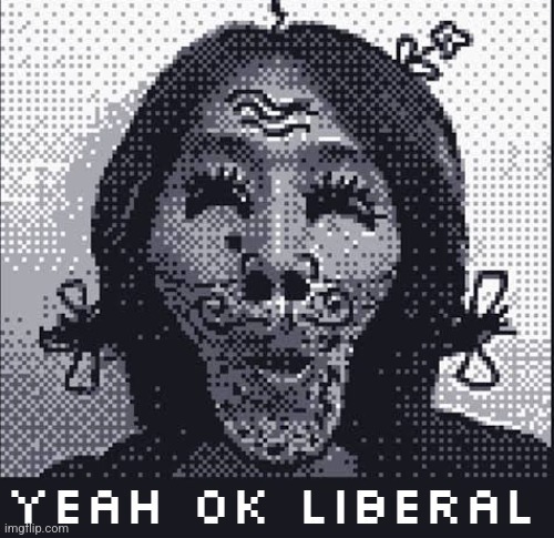 image tagged in yeah ok liberal - game boy edition | made w/ Imgflip meme maker