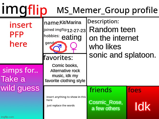 MSMG Profile | Kit/Marina; Random teen on the internet who likes sonic and splatoon. 12-27-23; eating; Comic books, Alternative rock music, idk my favorite clothing style; Take a wild guess; Idk; Cosmic_Rose, a few others | image tagged in msmg profile | made w/ Imgflip meme maker