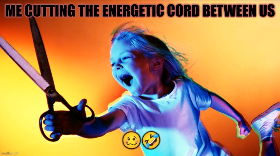 Bad vibes | ME CUTTING THE ENERGETIC CORD BETWEEN US; 🥴🤣 | image tagged in funny,humor,funny memes,energy | made w/ Imgflip meme maker