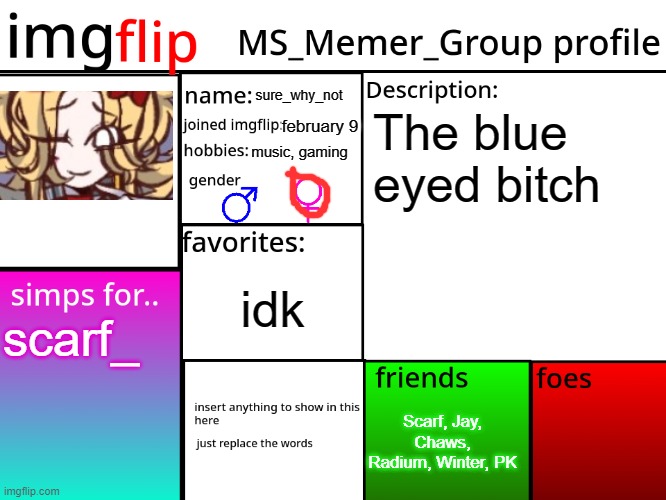 MSMG Profile | sure_why_not; The blue eyed bitch; february 9; music, gaming; idk; scarf_; Scarf, Jay, Chaws, Radium, Winter, PK | image tagged in msmg profile | made w/ Imgflip meme maker