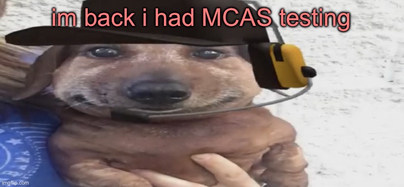 chucklenuts | im back i had MCAS testing | image tagged in chucklenuts | made w/ Imgflip meme maker