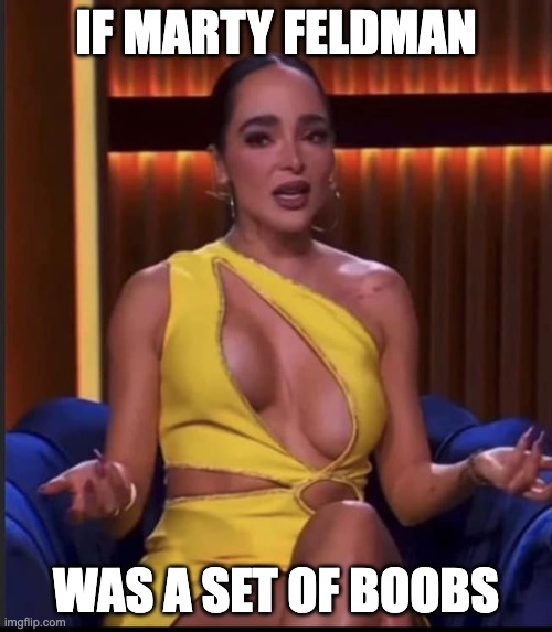 If Marty Feldman was a pair of boobs | IF MARTY FELDMAN; WAS A SET OF BOOBS | image tagged in funny memes,marty feldman,big boobs | made w/ Imgflip meme maker