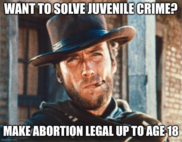 Solve juvenile crime1 | WANT TO SOLVE JUVENILE CRIME? MAKE ABORTION LEGAL UP TO AGE 18 | image tagged in clint eastwood | made w/ Imgflip meme maker