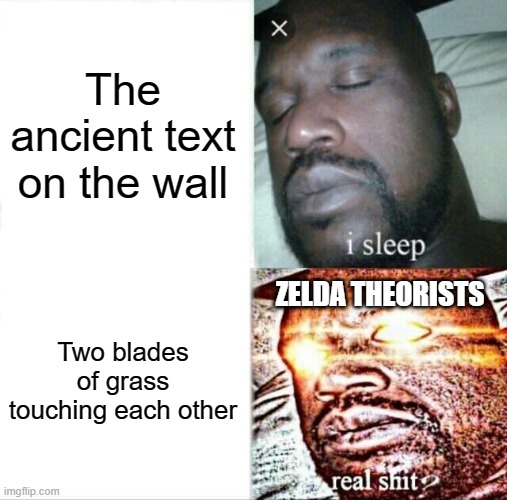 Sleeping Shaq Meme | The ancient text on the wall; ZELDA THEORISTS; Two blades of grass touching each other | image tagged in memes,sleeping shaq,legend of zelda | made w/ Imgflip meme maker