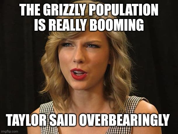 Taylor said overbearingly | THE GRIZZLY POPULATION IS REALLY BOOMING; TAYLOR SAID OVERBEARINGLY | image tagged in taylor swiftie | made w/ Imgflip meme maker