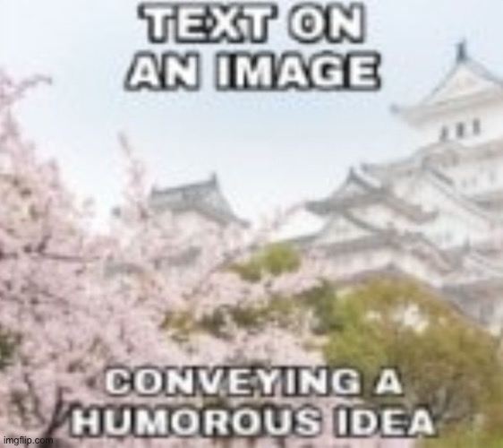 let the laughter commence | made w/ Imgflip meme maker