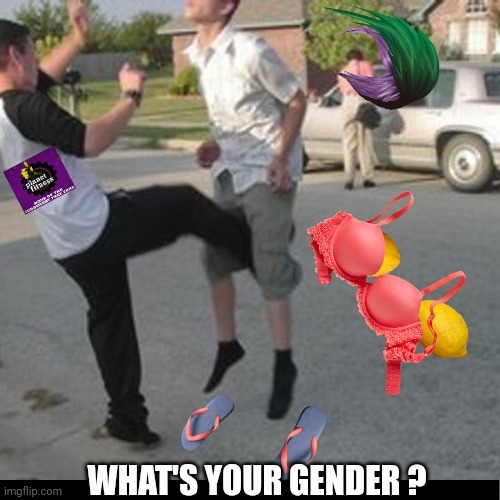 WHAT'S YOUR GENDER ? | made w/ Imgflip meme maker