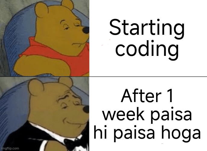 Tuxedo Winnie The Pooh Meme | Starting coding; After 1 week paisa hi paisa hoga | image tagged in memes,tuxedo winnie the pooh | made w/ Imgflip meme maker