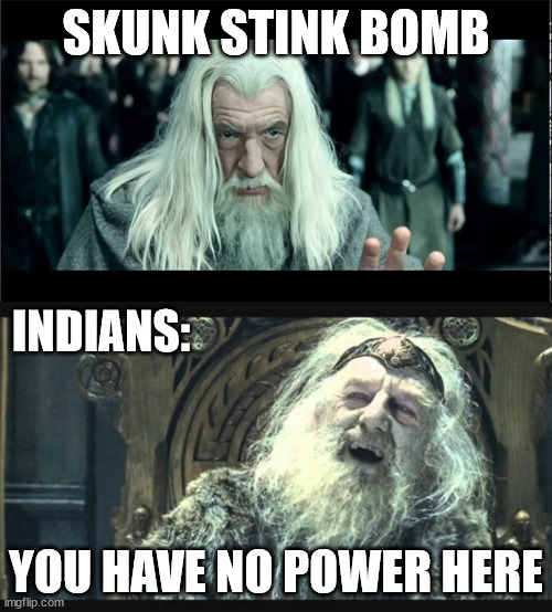 Indians vs Stik Bomb | SKUNK STINK BOMB; INDIANS:; YOU HAVE NO POWER HERE | image tagged in you have no power here | made w/ Imgflip meme maker