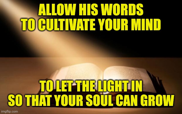Bible | ALLOW HIS WORDS TO CULTIVATE YOUR MIND; TO LET THE LIGHT IN SO THAT YOUR SOUL CAN GROW | image tagged in bible | made w/ Imgflip meme maker