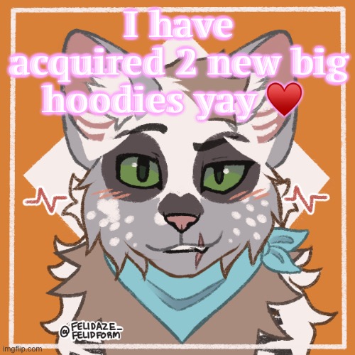 I have acquired 2 new big hoodies yay ♥️ | made w/ Imgflip meme maker