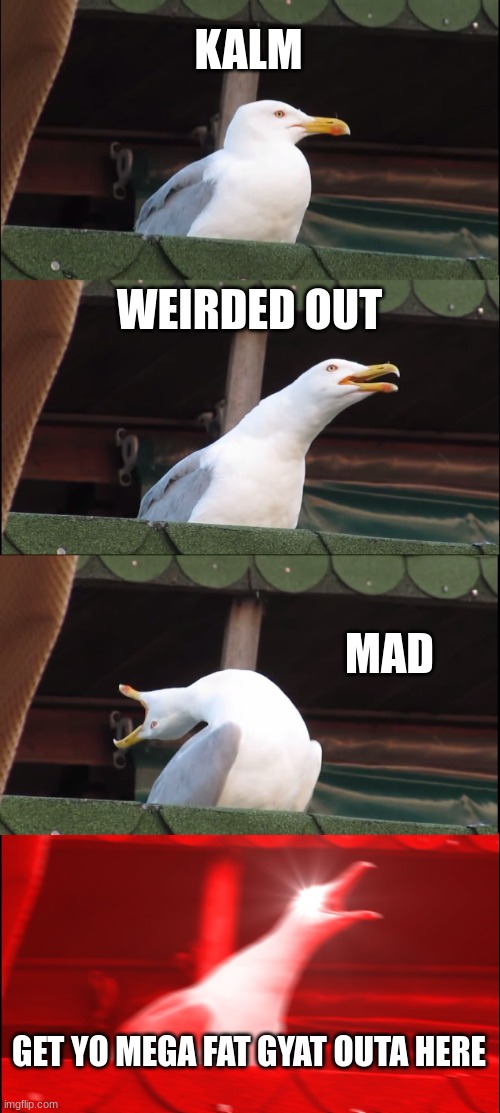 Inhaling Seagull Meme | KALM; WEIRDED OUT; MAD; GET YO MEGA FAT GYAT OUTA HERE | image tagged in memes,inhaling seagull | made w/ Imgflip meme maker