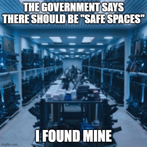 Guns | THE GOVERNMENT SAYS THERE SHOULD BE "SAFE SPACES"; I FOUND MINE | image tagged in gun room | made w/ Imgflip meme maker