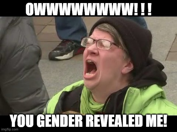 Liberal No | OWWWWWWWW! ! ! YOU GENDER REVEALED ME! | image tagged in liberal no | made w/ Imgflip meme maker