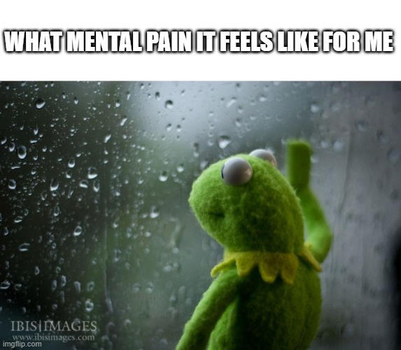 :( | WHAT MENTAL PAIN IT FEELS LIKE FOR ME | image tagged in kermit window | made w/ Imgflip meme maker
