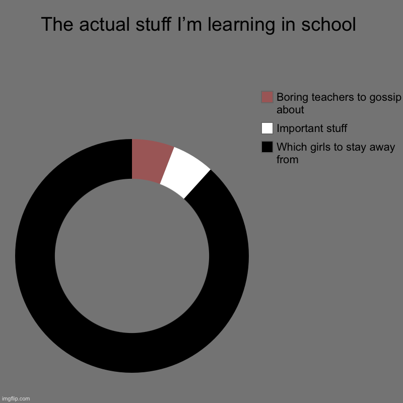 The actual stuff I’m learning in school | Which girls to stay away from, Important stuff , Boring teachers to gossip about | image tagged in charts,donut charts | made w/ Imgflip chart maker