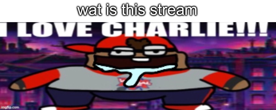 ¿ | wat is this stream | image tagged in tag | made w/ Imgflip meme maker