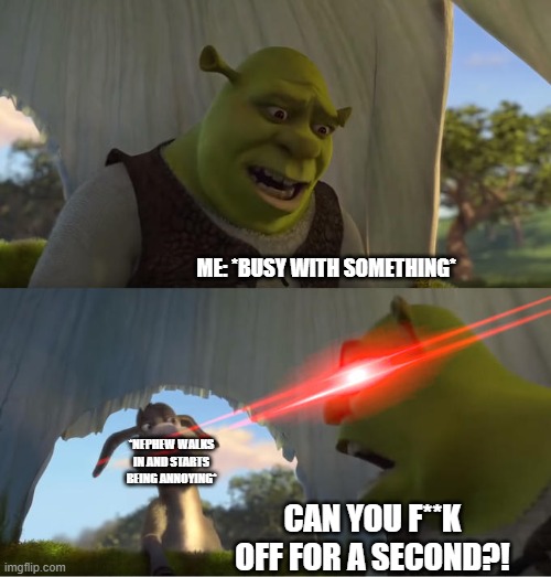 i hate nephews | ME: *BUSY WITH SOMETHING*; *NEPHEW WALKS IN AND STARTS BEING ANNOYING*; CAN YOU F**K OFF FOR A SECOND?! | image tagged in shrek for five minutes,memes | made w/ Imgflip meme maker