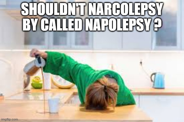 memes by Brad new name for people who sleep humor | SHOULDN'T NARCOLEPSY BY CALLED NAPOLEPSY ? | image tagged in fun,funny,play on words,funny meme,humor | made w/ Imgflip meme maker