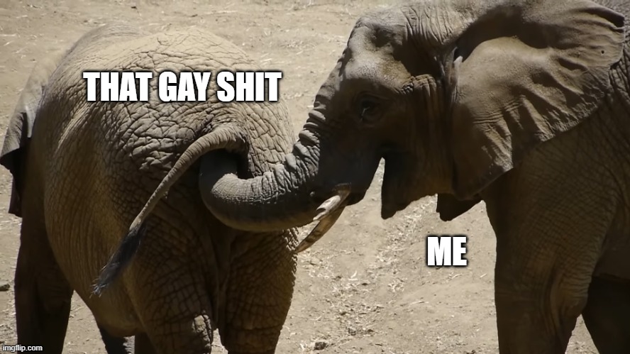 Gay Elephant Shit | THAT GAY SHIT; ME | image tagged in elephant,gay | made w/ Imgflip meme maker