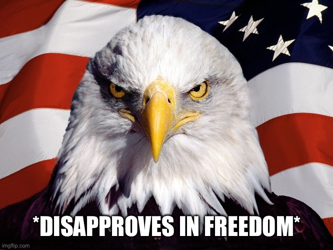 Freedom Eagle | *DISAPPROVES IN FREEDOM* | image tagged in freedom eagle | made w/ Imgflip meme maker