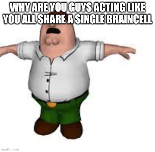 did you forget to evolve from monkey? | WHY ARE YOU GUYS ACTING LIKE YOU ALL SHARE A SINGLE BRAINCELL | image tagged in peter griffin t pose | made w/ Imgflip meme maker