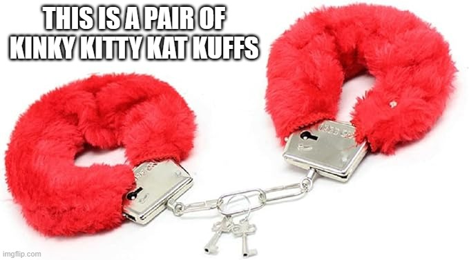 memes by Brad kinky kitty kat kuffs | THIS IS A PAIR OF KINKY KITTY KAT KUFFS | image tagged in cats,funny,funny cat memes,cute kittens,funny meme,humor | made w/ Imgflip meme maker