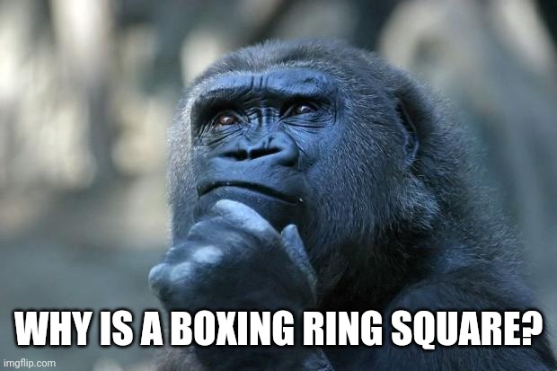 Deep Thoughts | WHY IS A BOXING RING SQUARE? | image tagged in deep thoughts | made w/ Imgflip meme maker