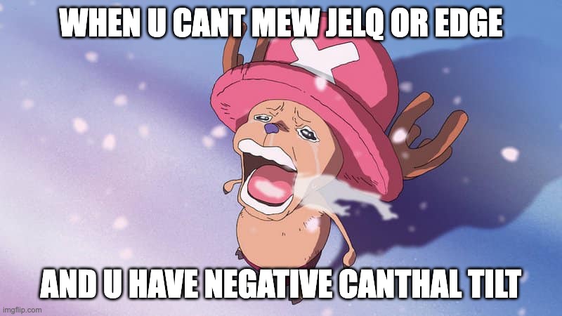 crying chopper one piece | WHEN U CANT MEW JELQ OR EDGE; AND U HAVE NEGATIVE CANTHAL TILT | image tagged in crying chopper one piece | made w/ Imgflip meme maker