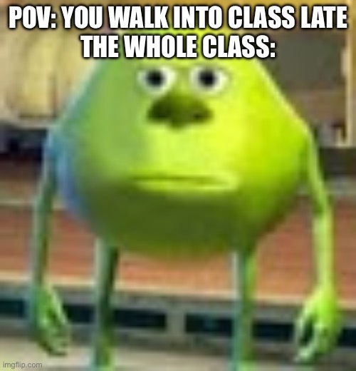 We’ve all experienced this | POV: YOU WALK INTO CLASS LATE
THE WHOLE CLASS: | image tagged in sully wazowski | made w/ Imgflip meme maker
