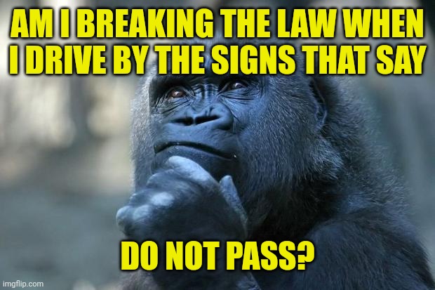 Deep Thoughts | AM I BREAKING THE LAW WHEN I DRIVE BY THE SIGNS THAT SAY; DO NOT PASS? | image tagged in deep thoughts | made w/ Imgflip meme maker