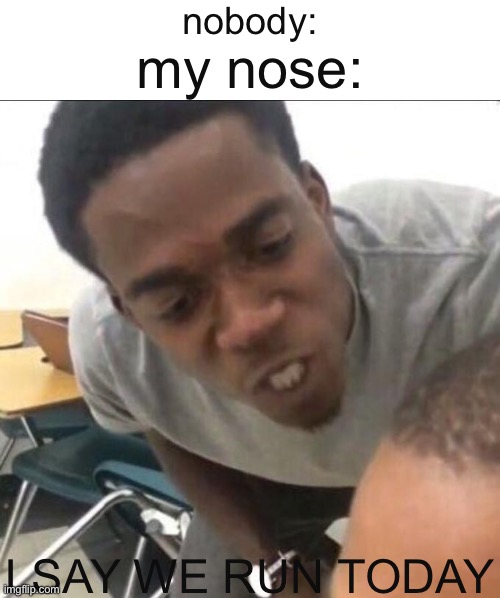idk | nobody:; my nose:; I SAY WE RUN TODAY | image tagged in i said we sad today | made w/ Imgflip meme maker