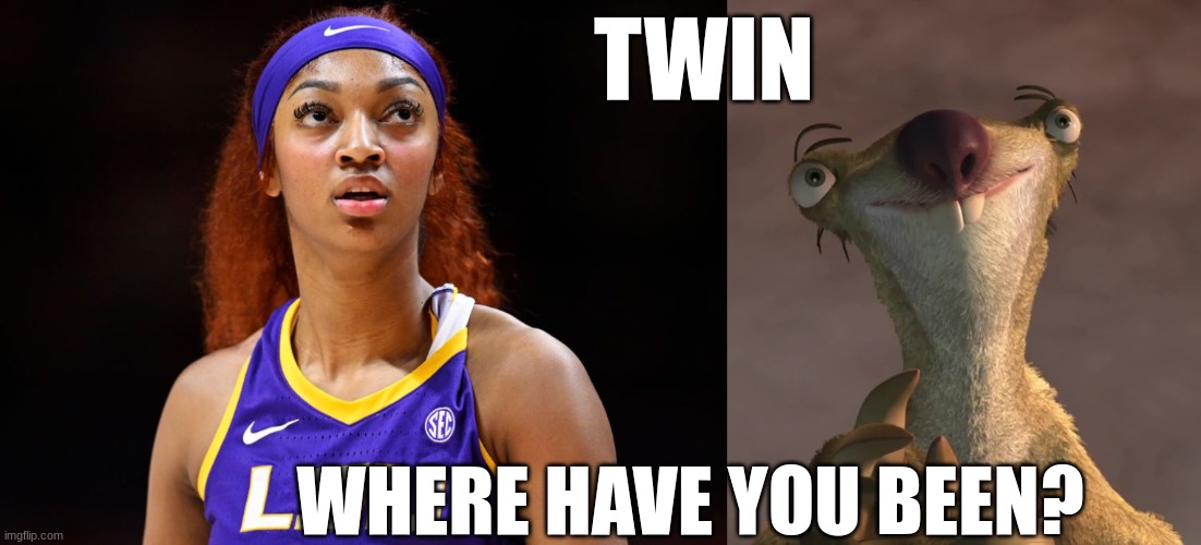 Real | TWIN; WHERE HAVE YOU BEEN? | image tagged in basketball | made w/ Imgflip meme maker
