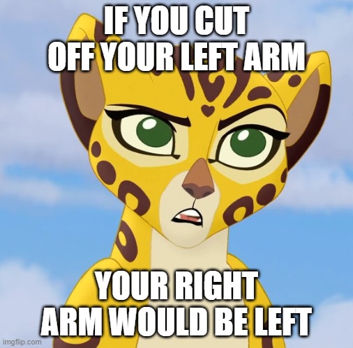 Hmm | IF YOU CUT OFF YOUR LEFT ARM; YOUR RIGHT ARM WOULD BE LEFT | image tagged in confused fuli,arm,arms,right,left,shower thoughts | made w/ Imgflip meme maker