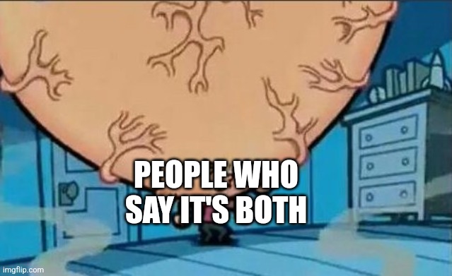 Big Brain timmy | PEOPLE WHO SAY IT'S BOTH | image tagged in big brain timmy | made w/ Imgflip meme maker
