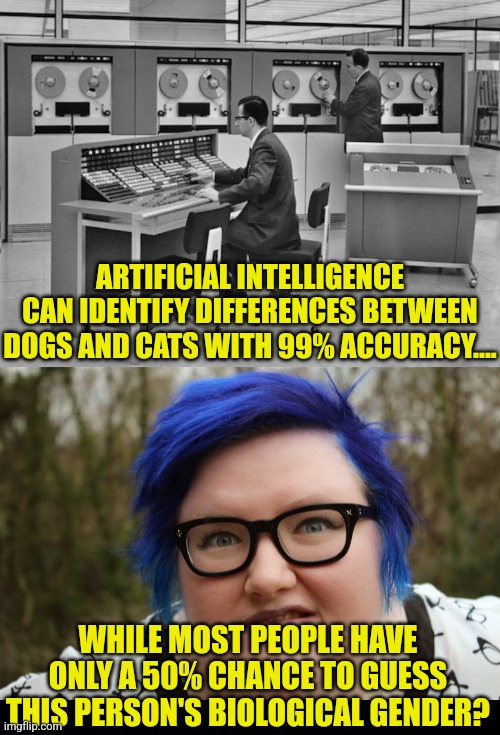 Its a little disappointing the programmers building the next generation of AI cannot identify the gender of a naked human? | ARTIFICIAL INTELLIGENCE CAN IDENTIFY DIFFERENCES BETWEEN DOGS AND CATS WITH 99% ACCURACY.... WHILE MOST PEOPLE HAVE ONLY A 50% CHANCE TO GUESS THIS PERSON'S BIOLOGICAL GENDER? | image tagged in mainframe,fat blue-haired feminist,expectation vs reality,liberal logic,insanity,crying democrats | made w/ Imgflip meme maker