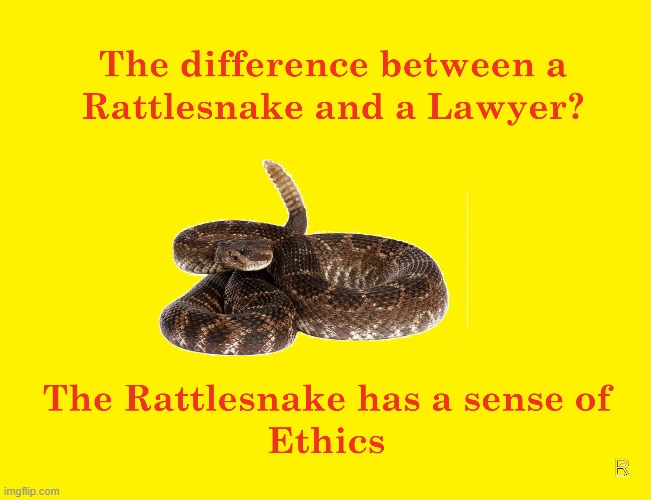 Rattlesnake vs Lawyer | image tagged in lawyers,snakes,ethics | made w/ Imgflip meme maker