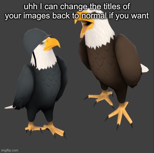 tf2 eagles | uhh I can change the titles of your images back to normal if you want | image tagged in tf2 eagles | made w/ Imgflip meme maker