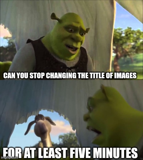 Getting kinda annoyed | CAN YOU STOP CHANGING THE TITLE OF IMAGES; FOR AT LEAST FIVE MINUTES | image tagged in shrek five minutes | made w/ Imgflip meme maker