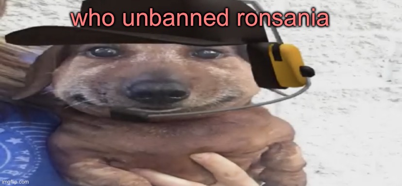 chucklenuts | who unbanned ronsania | image tagged in chucklenuts | made w/ Imgflip meme maker